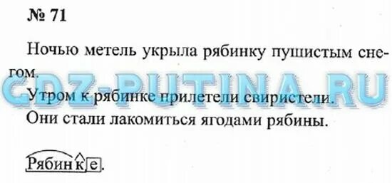 Ночью метель укрыла рябинку пушистым снегом определить