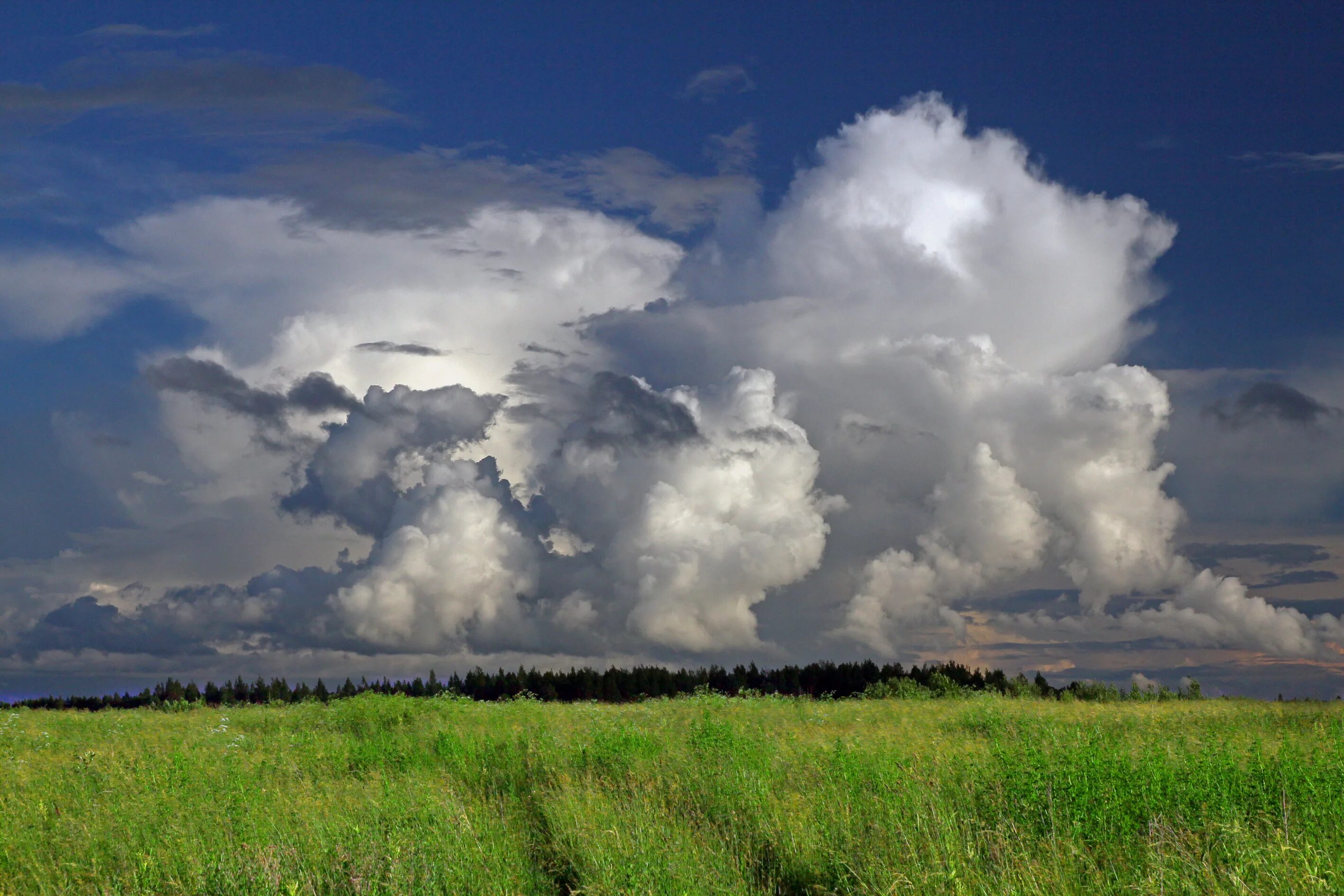 Кучевые облака в поле. Красивые облака. Облака над полем. Кучевые облака. Громадная туча