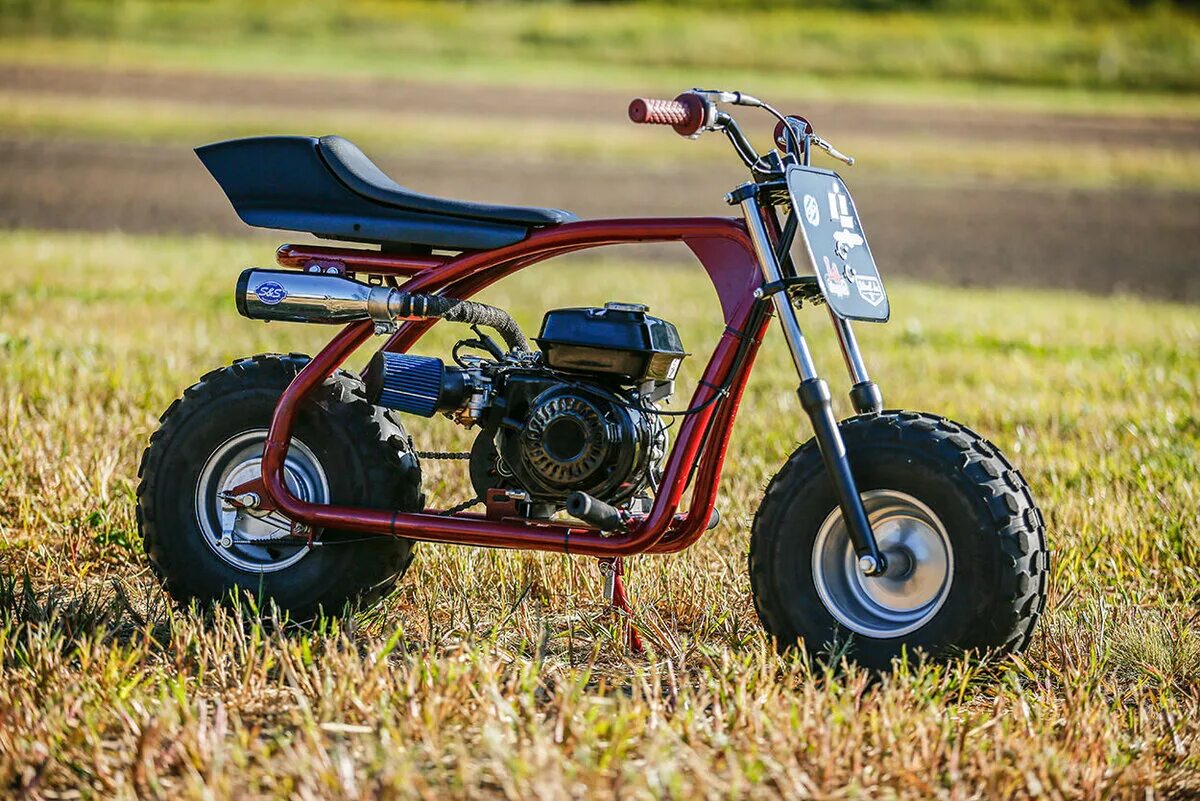 Минибайк lucky duck ranger rb200 max. Coleman ct200u mini bike. минибайк motochimp. coleman мотоцикл. внедорожный мини мокик сузуки.
