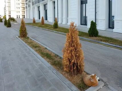 Строительство новой набережной в анапе 2024 апрель