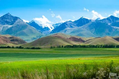 Жалаңаш келіндер сорды