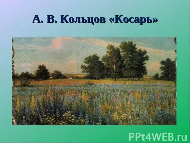 Кольцов косарь. Косарь стихотворение Кольцова. Образ Родины.