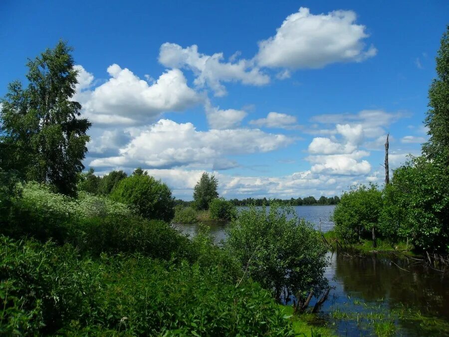 приречный нижний тагил