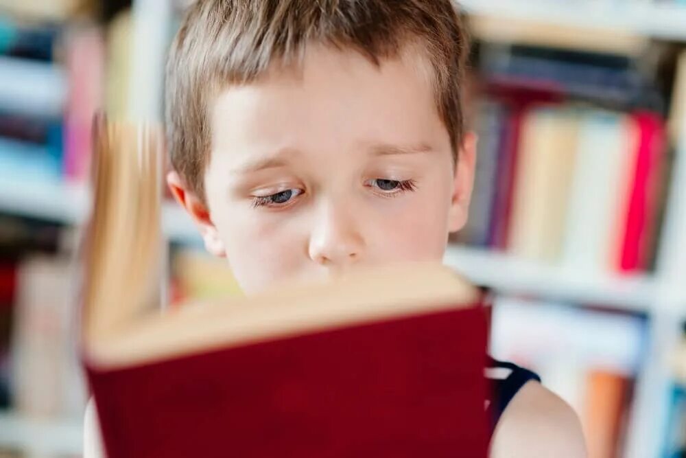 Мальчик читает книгу в библиотеке. Мальчик читает книгу в библиотеке для детей. Ученик читает книгу фотографии. Детство знания.
