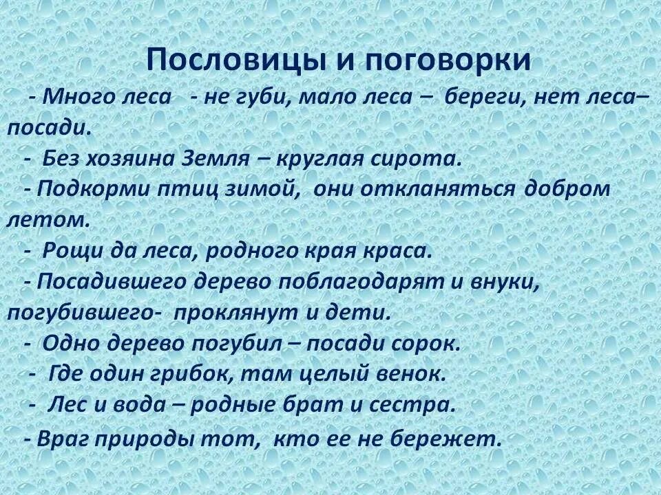 Как вы понимаете поговорку береги. Пословицы и поговорки о природе. Пословицы ипоговоркми оприррде. Пословицы о природе. Пословицы любить и беречь природу.