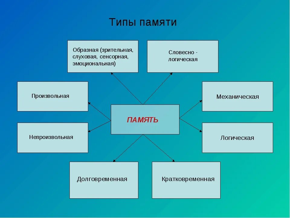 Типы памяти в психологии. Типы памяти человека. Какие виды памяти бывают в психологии. Виды памяти у человека