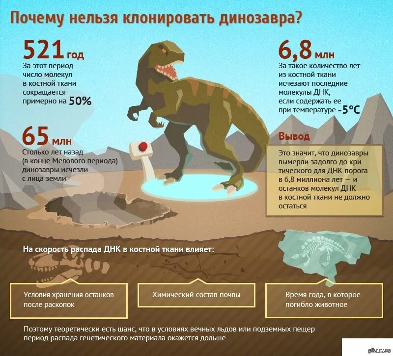 Когда создали динозавров. Динозавры инфографика. Динозавры периоды существования. Периоды жизни динозавров. Возможно ли возродить динозавров.