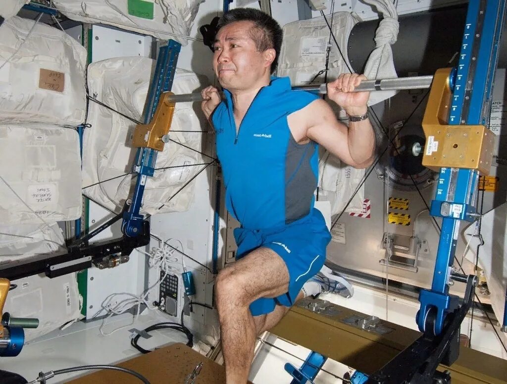 Занимаются ли космонавты. Тренажеры для Космонавтов в космосе. Космонавты тренируются. Тренировки Космонавтов в космосе. Тренажер невесомости.