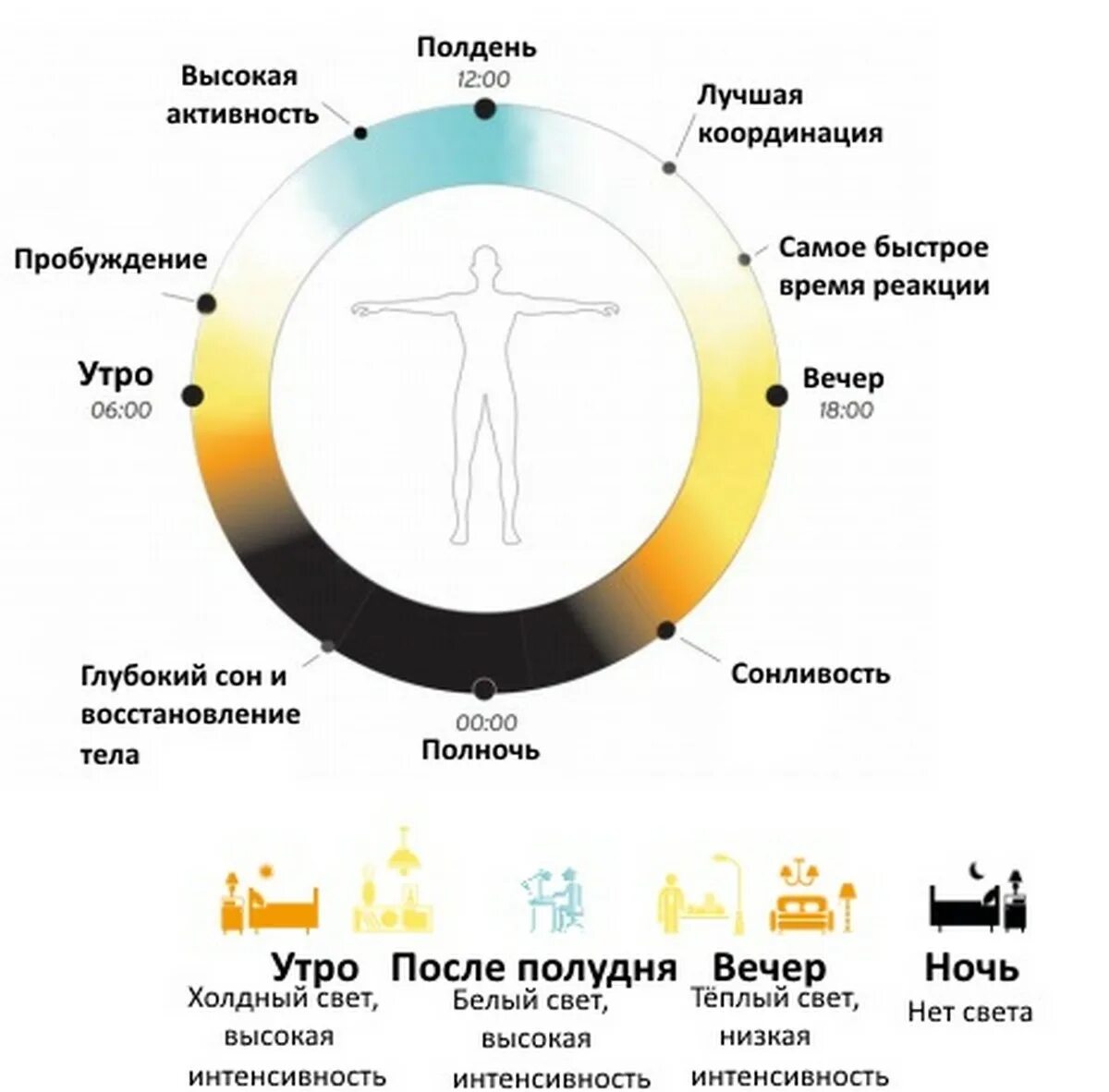 Свет влияние на организм человека. Влияние освещения на организм человека. Воздействие освещения на человека. Влияние света на человека.