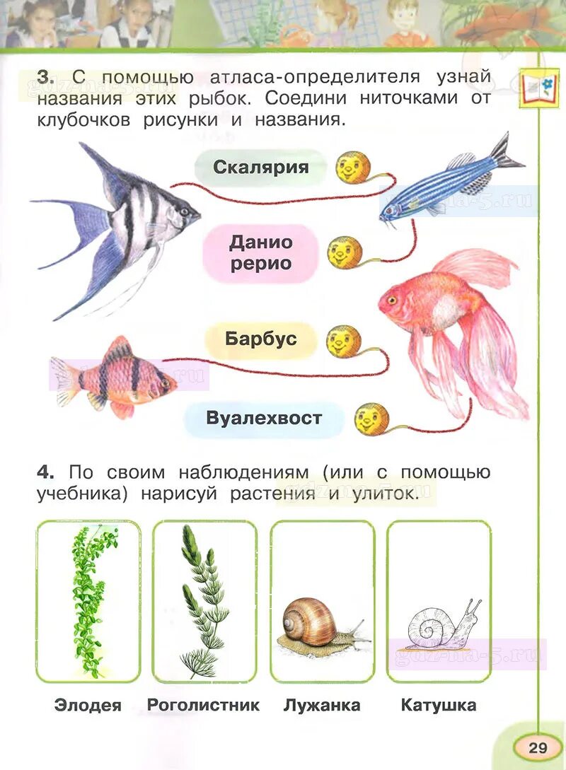 Окружающий мир первый класс страница 26. Окружающий мир 1 класс рабочая тетрадь плешаков стр 10. окружающий мир 1 класс рабочая тетрадь плешаков 1 часть ответы стр 44-45. окружающий мир 1 класс рабочая тетрадь 2 часть стр 52-53 ответы плешаков. рабочая тетрадь по окружающему миру 1 класс плешаков.