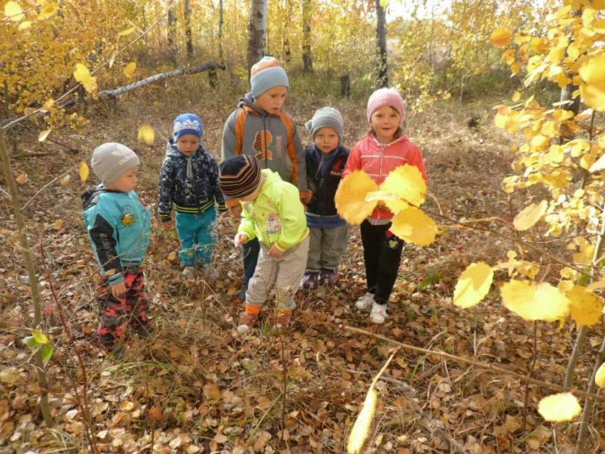 Целевая прогулка в подготовительной группе. Экскурсия в осенний лес подготовительная группа. Экскурсия по осеннему лесу. Экскурсия в осенний лес с детьми подготовительной группы. Прогулка в осенний лес средняя группа.