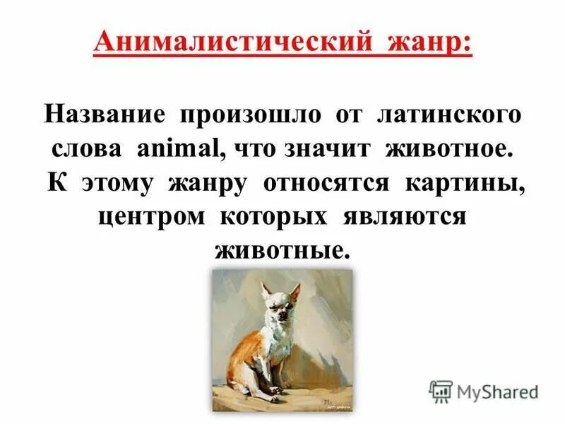 животный мир слова. животные для презентации. обобщающее слова животные. презентация на тему зоология. животные из слов.