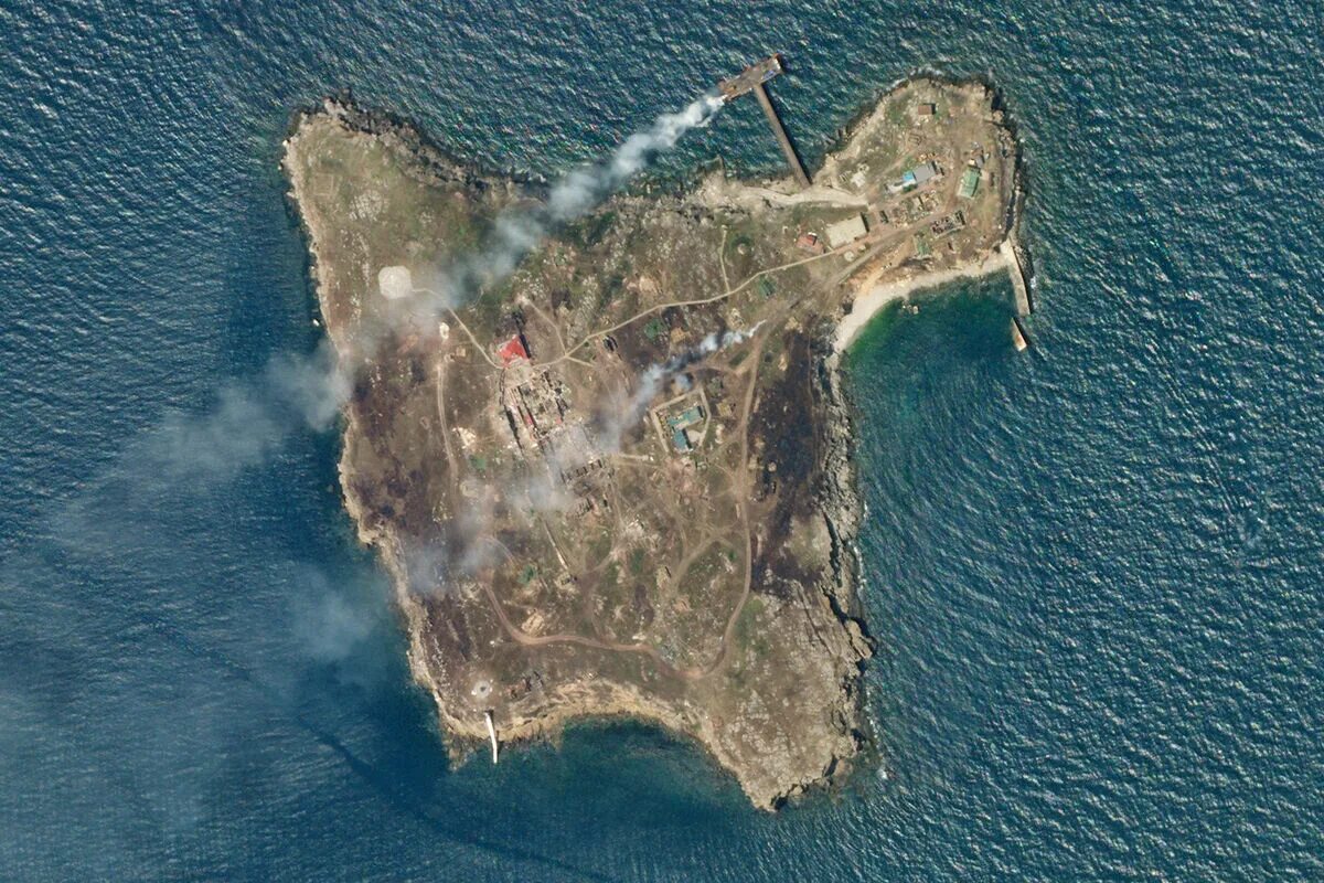 Кеймада-гранди змеиный. Животные. Остров змей кеймада-гранди. Острова змеиный. Остров змеиный одесская область.