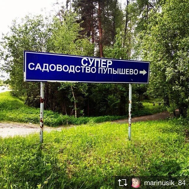 садоводство пупышево ленинградская область. дорога в пупышево. снт пупышево карта. карта садоводства пупышево лен обл. садоводство пупышево.