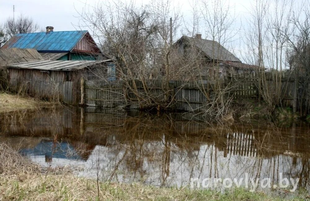 Уровень воды сож в славгороде сегодня реке. Паводок. Апрель половодье. Гомель половодье 2023. Наводнение в Белоруссии.