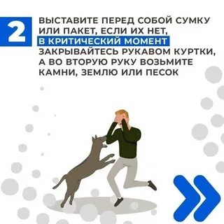 Как отбиться от собаки