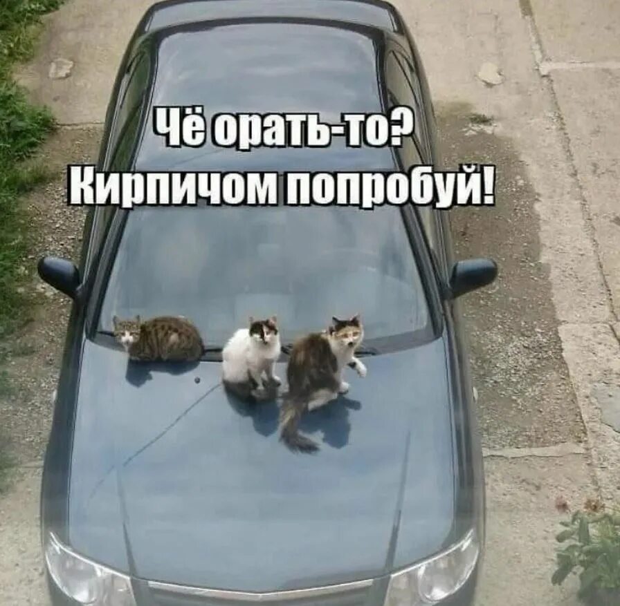 Удачно вошел