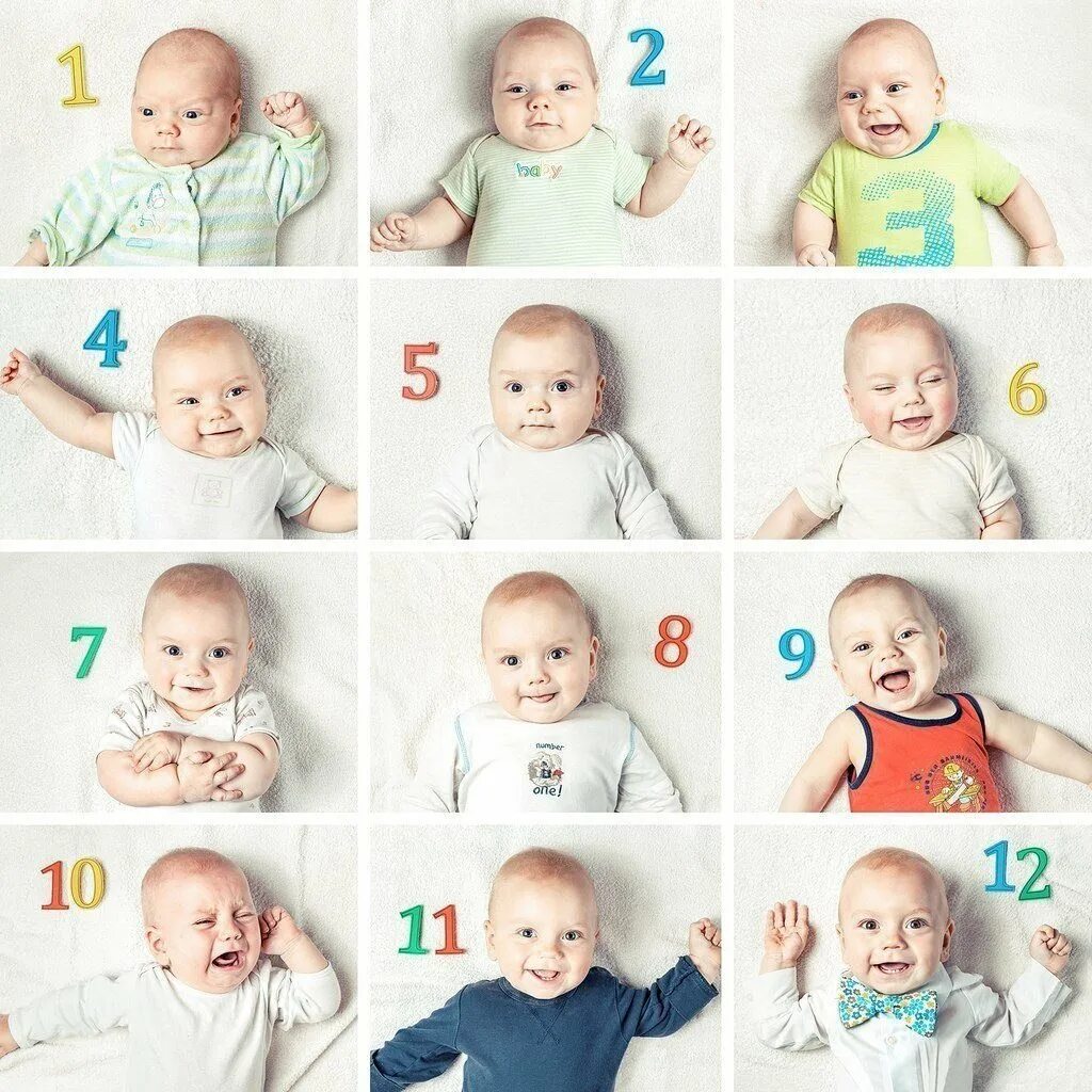 Фотосессия от рождения до года. Идеи для фотосессии малыша по месяцам. Идеи для фотосессии новорожденных по месяцам. Фотоссесия для новорождённого по месяцам. Месяцев первые изменения