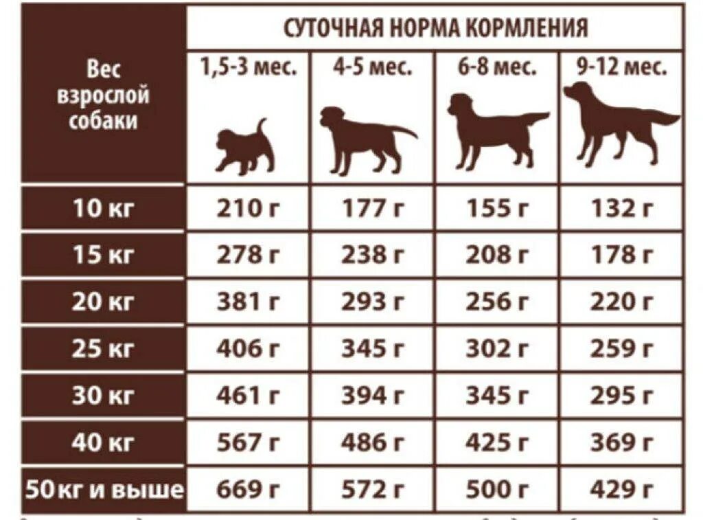 Через сколько месяцев собака. Норма кормления собак натуральными продуктами таблица. Норма кормления лабрадора в 4 месяца. Норма корма для щенка лабрадора 2 месяца. Вес и норма питания щенка лабрадора.