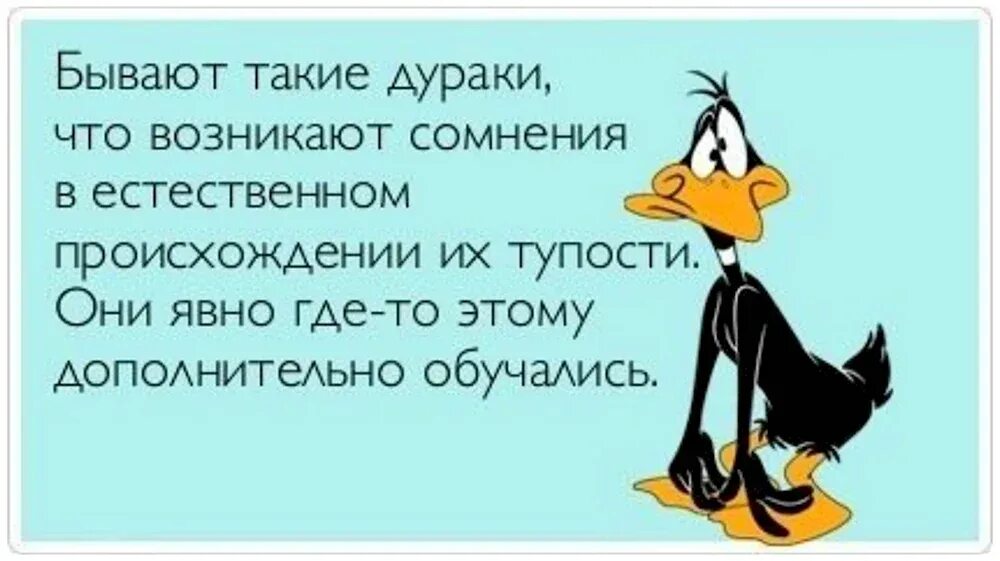 Ладно откуда фраза