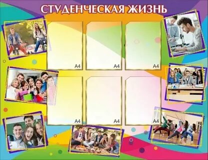 Как оформить студенческую