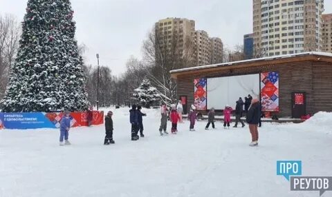 Бесплатный реутов