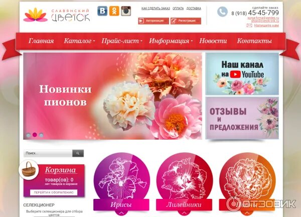 Интернет магазин цветы ворошиловой. Пион фестива паудер 'festiva powder'. Пион японский акрон. Питомник пионов ворошиловой анны борисовны. Пион комманд перфоманс.