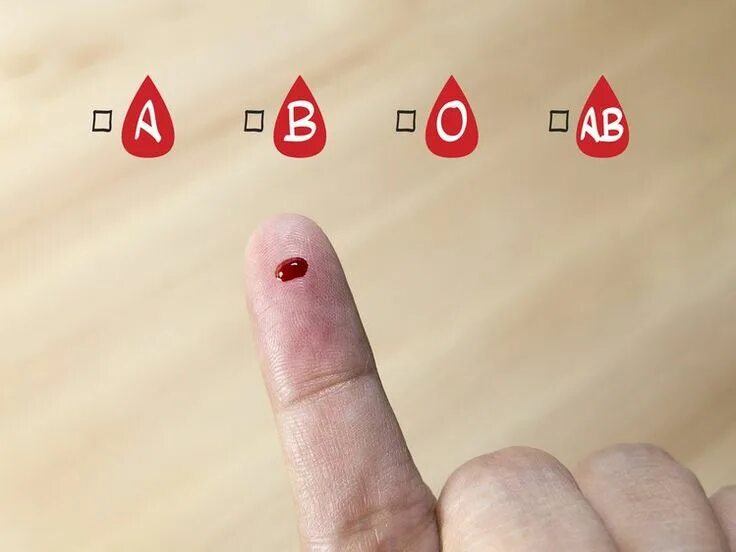 Blood group b. Blood group b. Blood types. Blood group b. Blood group types.