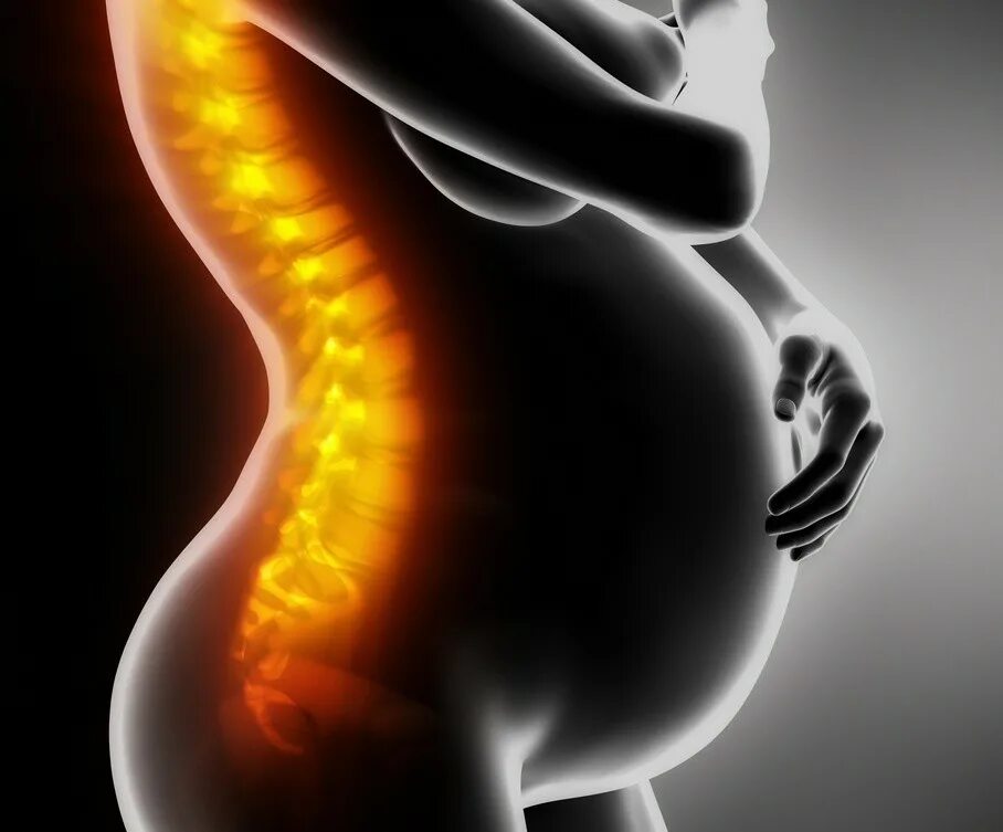 Беременность и позвоночник. Остеопороз у беременных. Позвоночник у беременных. Беременные со спины.