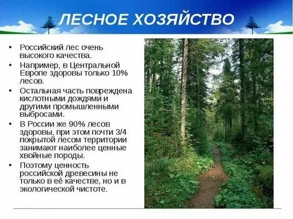 Жители лесных зон