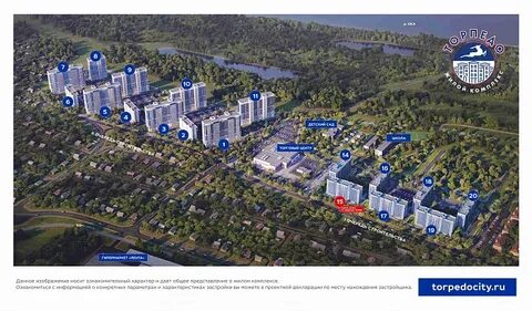 Торпедо нижний новгород квартиры