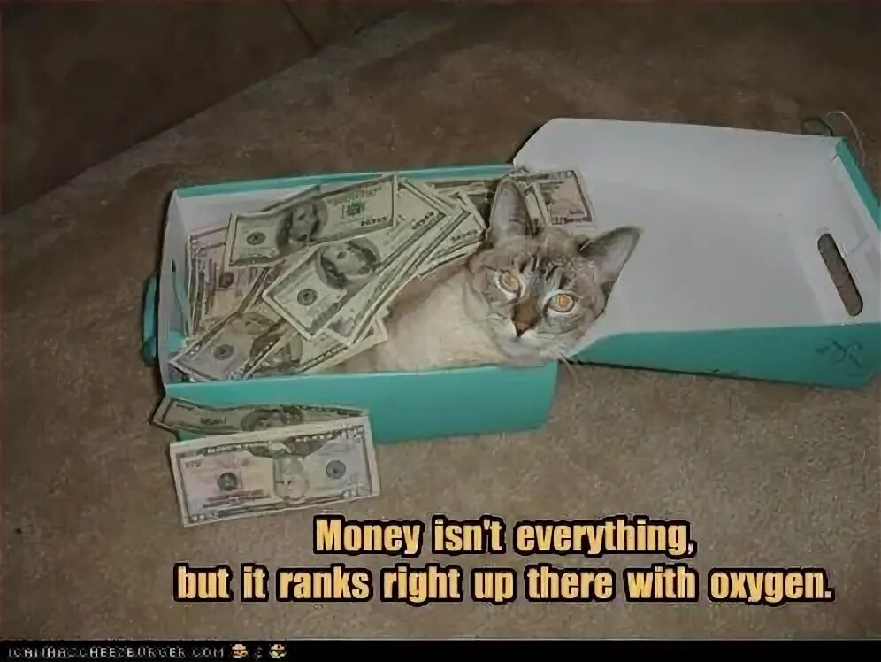 Money isn t everything. True money. Money joke. Money isn t everything. Money isn't или aren’t.