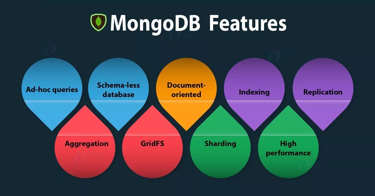 Mongodb collection. Mongo-Express. Виды монго. Mongo шпаргалка. Verruckter Mongo Maaskantje что это.