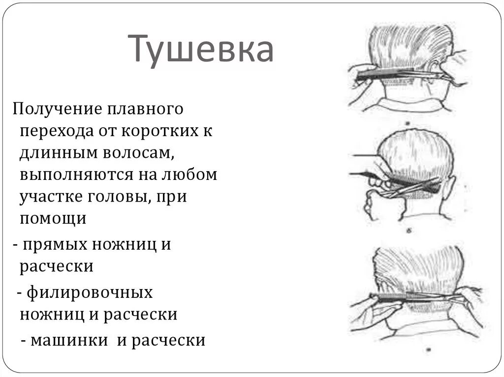 тангенциальный радиальный и поперечный срез. типы срезов. косой срез волос схема. типы срезов. филировка волос зубчатый срез.