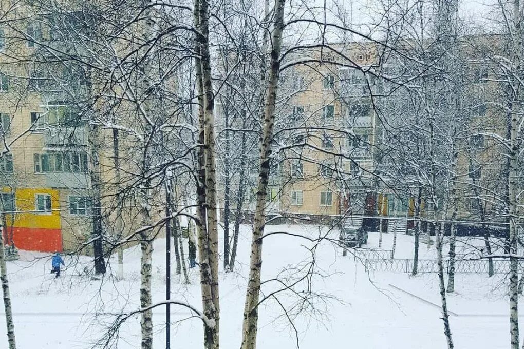 Хабаровске выпал снег. Хабаровск зима 2017. Хабаровский край снег. Хабаровский край зимой. В Хабаровске выпал снег.