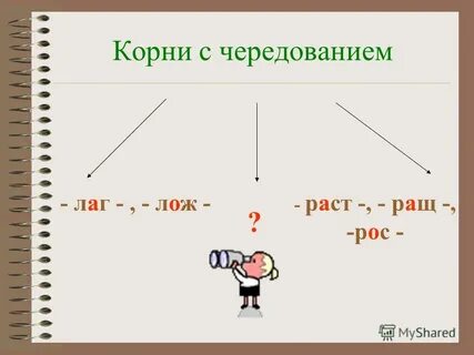 Водор сли корень