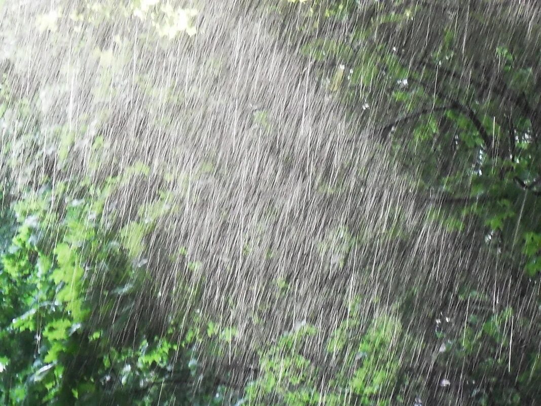 Я уже предвкушал как ливень хлынет. Сильный дождь. Летний ливень. Косой дождь. Природные явления дождь.