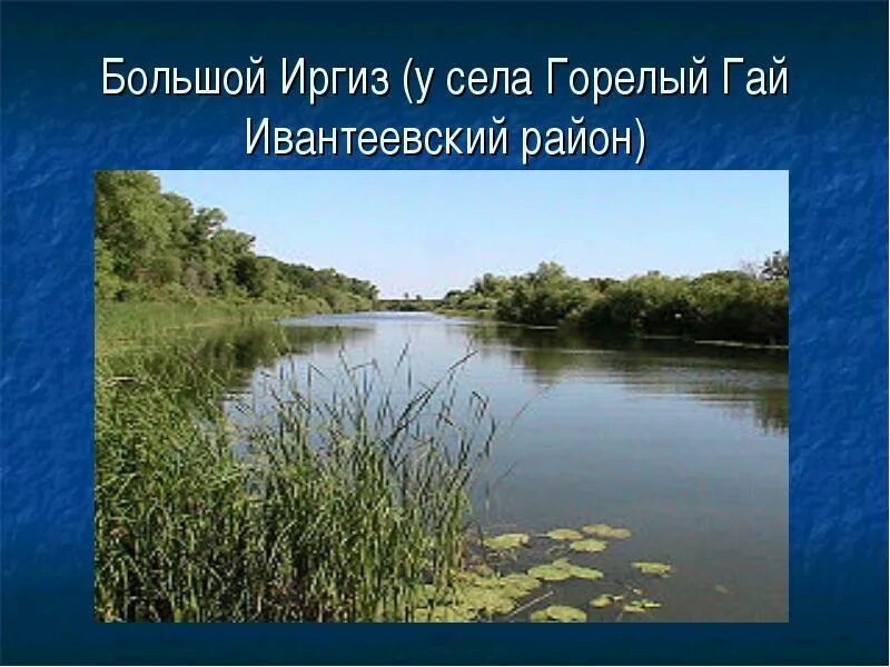 Река иргиз. Исток реки большой иргиз. Река большой иргиз большая глушица. Река иргиз. Презентация по краеведению.