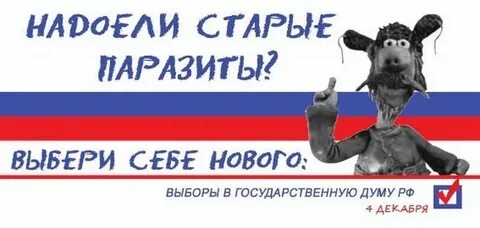 Что говорят про выборы 2024