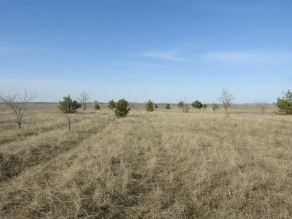 Погода беляевка волгоградской