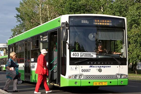 Какой автобус едет в москву. Автобус 1 Зеленоград. Автобус 403 Зеленоград. Автобус НЕФАЗ Зеленоград. Автобус 408 Зеленоград.