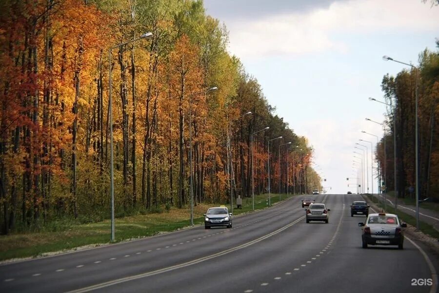 Юго запад дорога. Юго западное шоссе саранск. дорога юго запад светотехстрой саранск. саранск светотехстрой лес. юго западное шоссе 10 саранск.