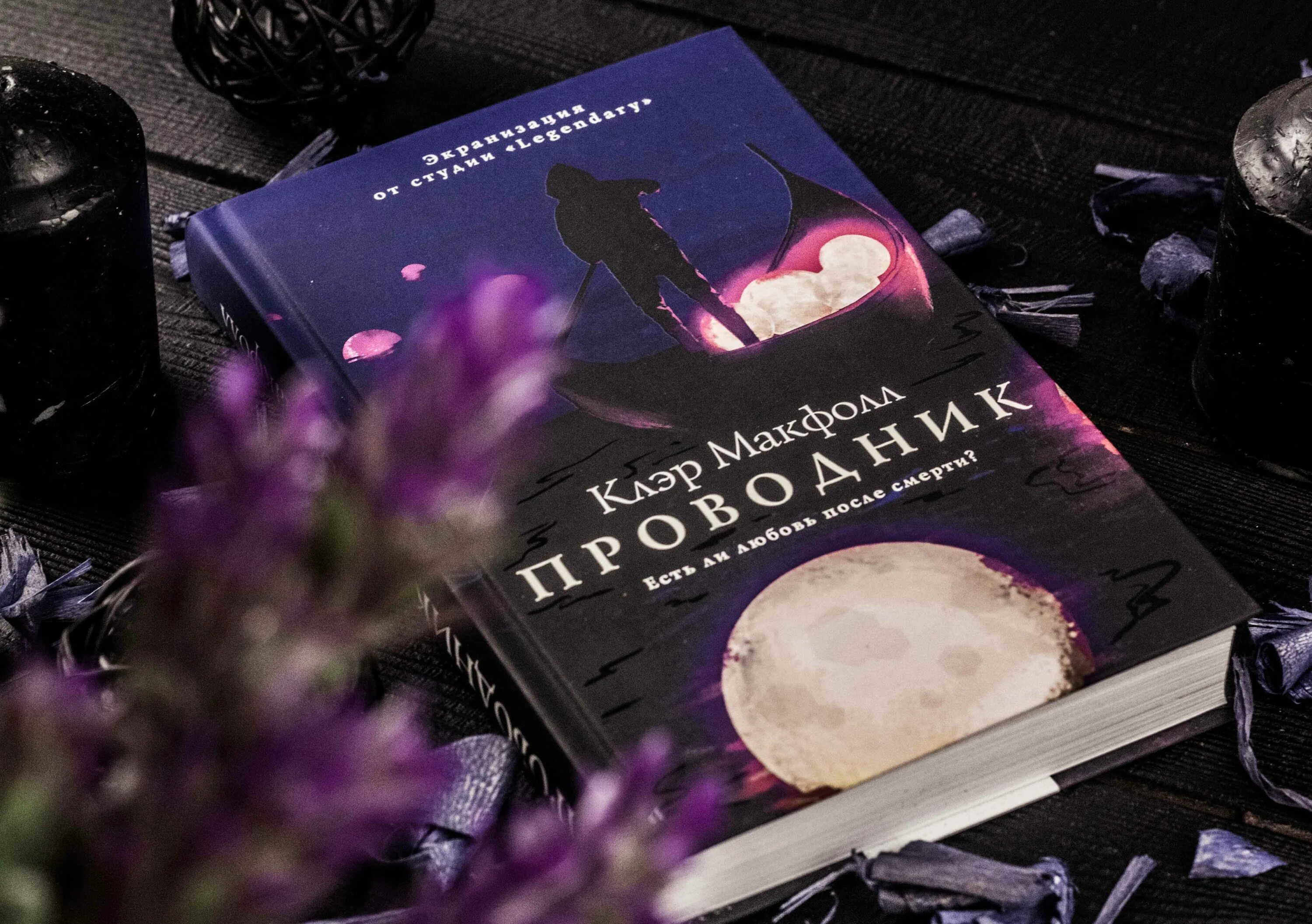 Клэр макфол. Проводник клэр макфолл. проводник клэр макфолл дилан. проводник книга клэр макфол. 2 часть клэр макфолл.