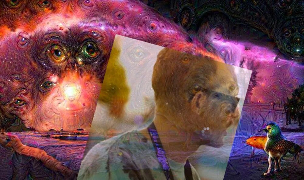 Мир человека под лсд. Deep dream перевод. Deep dream собака. Deep dream ai. Арты нейросети.