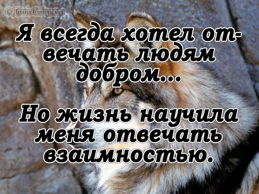 Сильные люди добрые люди. Жизнь научила цитаты. Жизнь научила меня. Жизнь научила меня быть сильной. Не учите жить других цитаты.