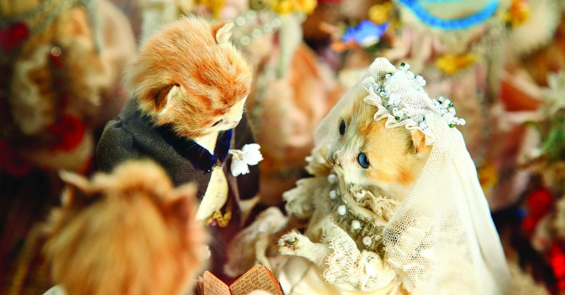 Кошки выходят замуж. Кошачья свадьба Викторианская эпоха. Уолтер Поттер. Кошки в свадебных нарядах. Кошачья свадьба.