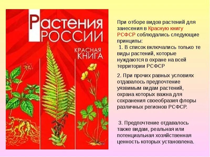 Красная книга россии цвета. Растения красной книги России. Растения и растения красной книги. Красная книга РФ растения. Цветы красной книги.