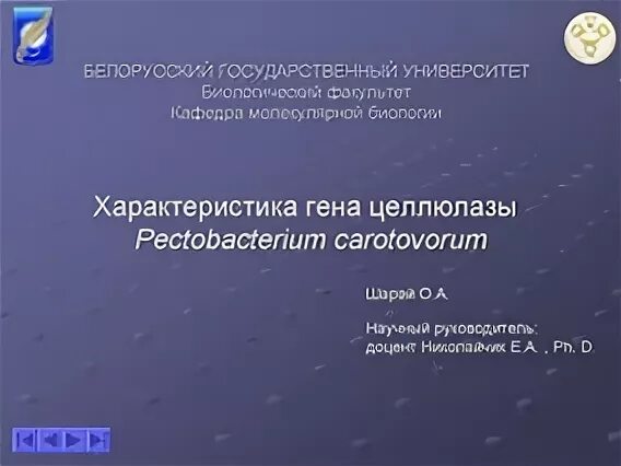 Стат. Характеристика бгу. Характеристика бгу. Белорусский государственный университет лого. Бгу экономический факультет.