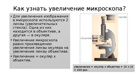 Как определить увеличение которое дает