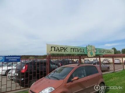 Адрес малинки